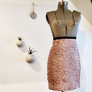The Limited - Rose Gold Sequin Skirt XS
